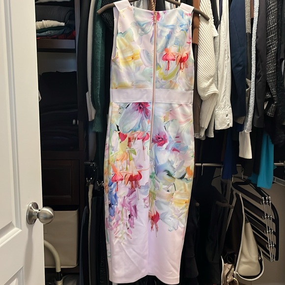 Ted Baker Arienne Hanging Gardens Dress TB size 1 - Picture 5 of 5